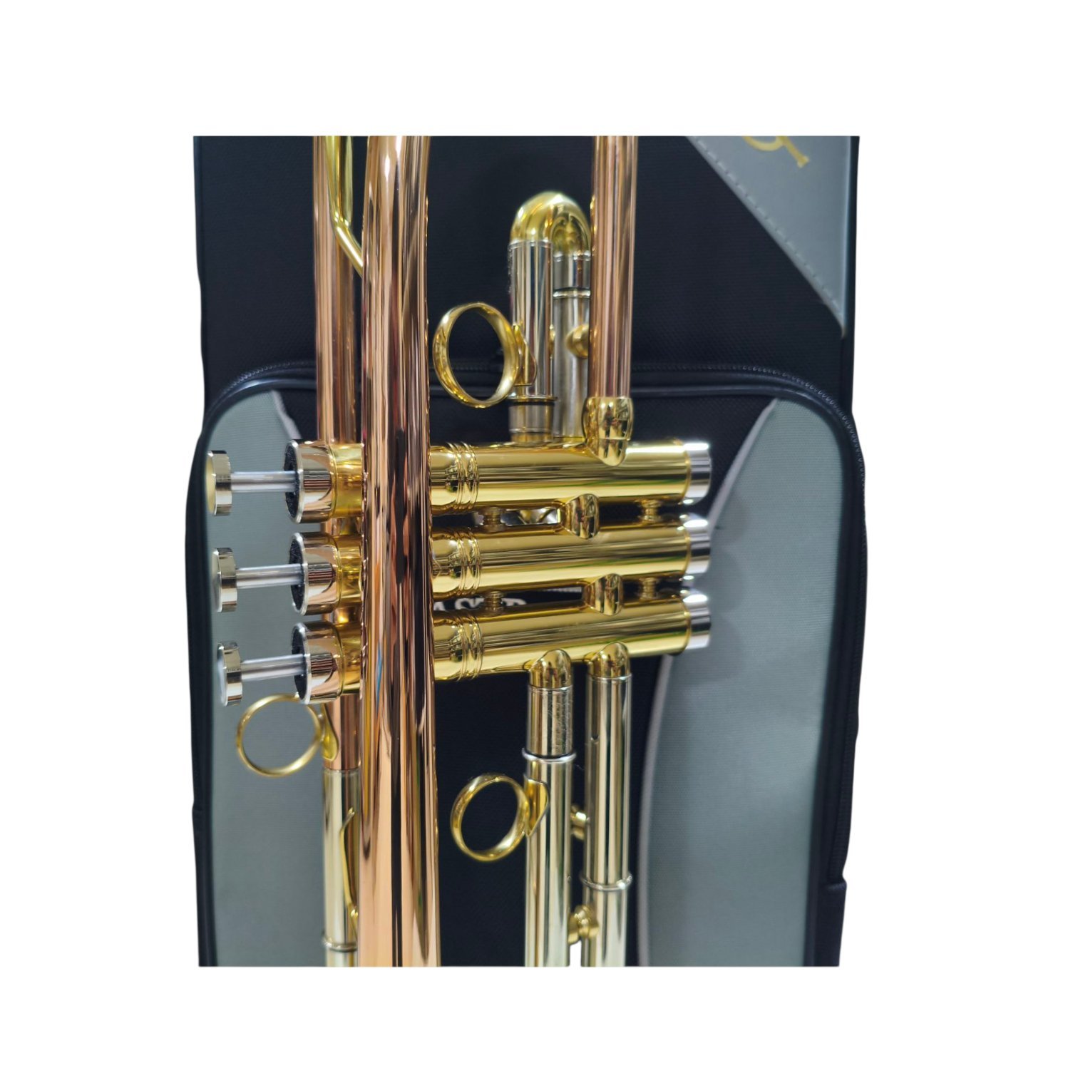 Trompeta Sib Eastrock curva cuproniquel - Imagen 9